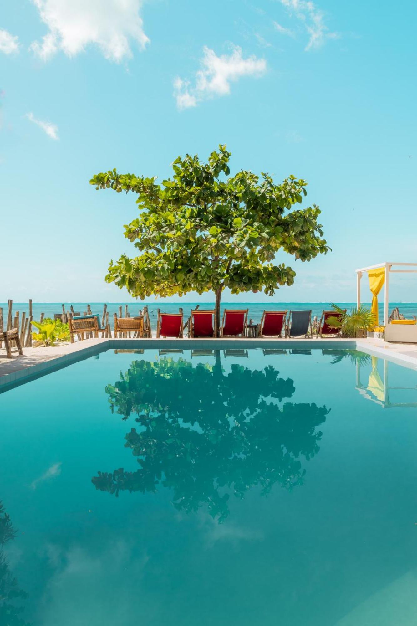 Hotel Pili Pili Palm Jambiani (Zanzibar)